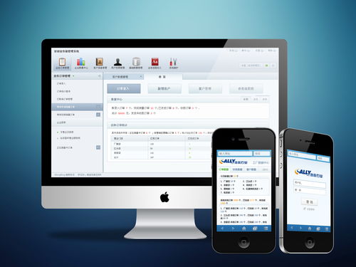 软件系统概述及其组成部分